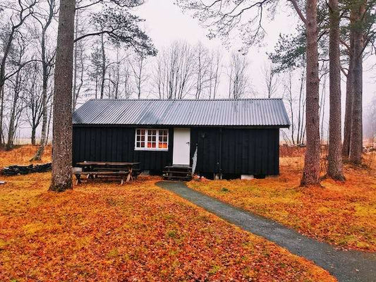 Before buying a shed…